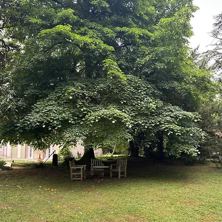 Armagnac Appartement Moncaut